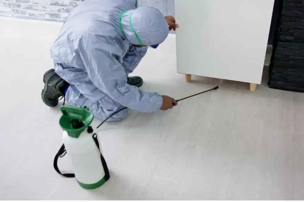 residential pest control leads