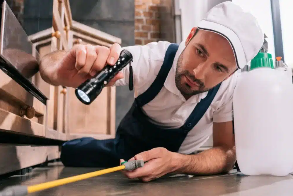 residential pest control leads