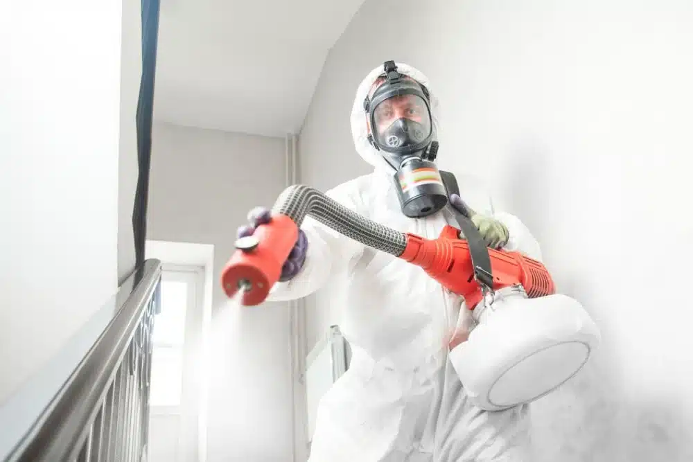 Pest Control Lead Generation