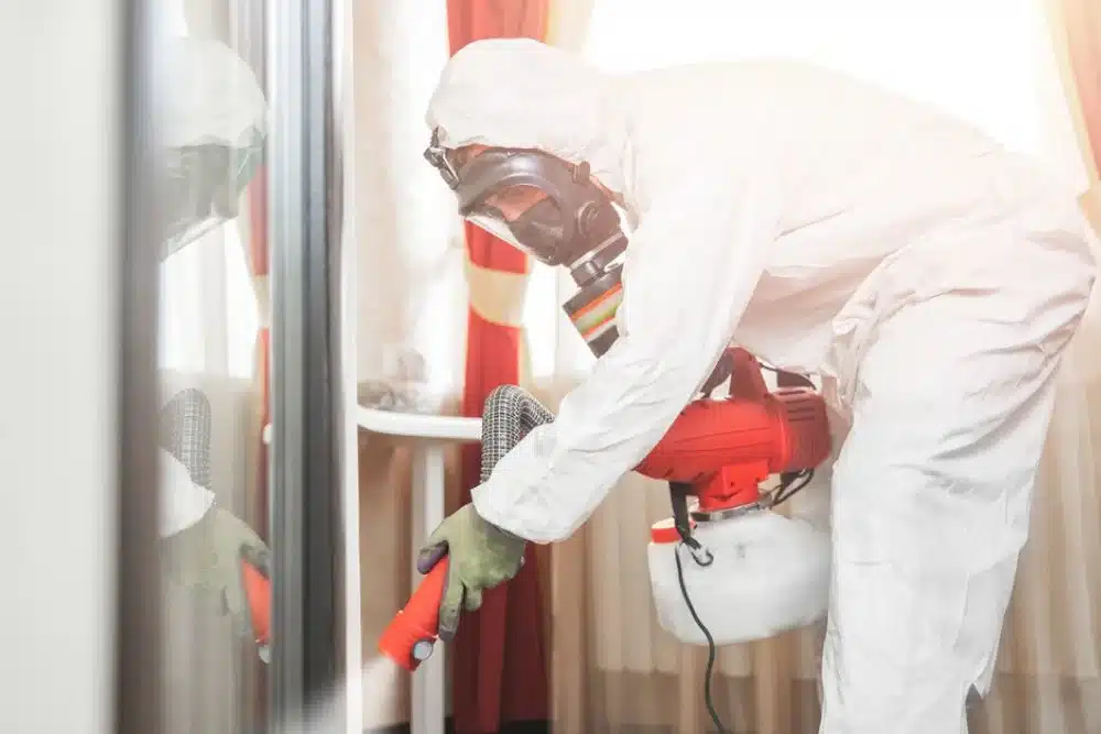 pest control leads